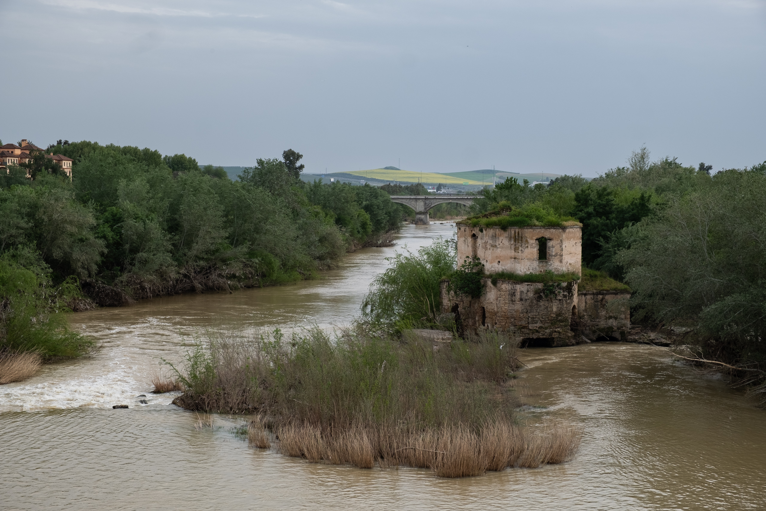Der Guadalquivir – alte Mühlenruine im Hochwasser